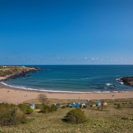 Coldingham7 The Bay别墅 外观 照片