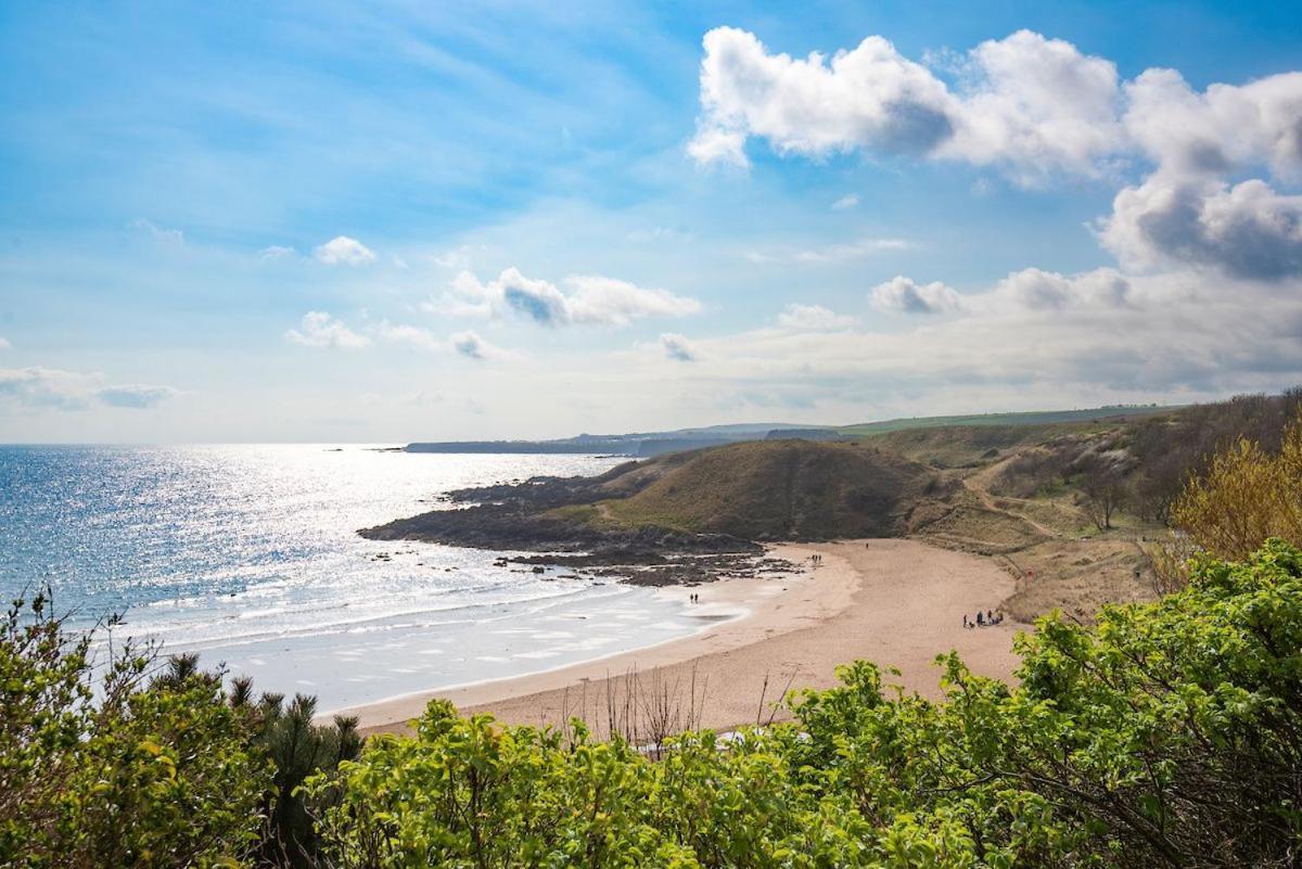 Coldingham7 The Bay别墅 外观 照片